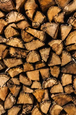 Warm Rustic Firewood Grain Background