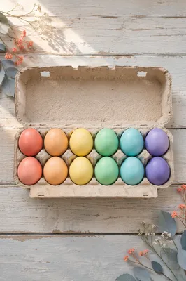 Pastel Rainbow Easter Eggs in Paper Carton