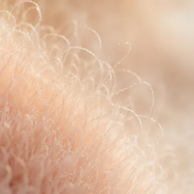Soft Peach Fuzz Velvet Macro Texture
