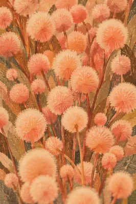 Peach Fuzz Velvet Botanical Texture Background