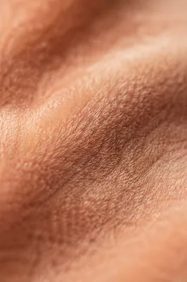Soft Peach Velvet Macro Texture Background
