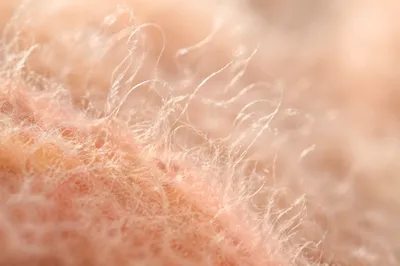 Soft Peach Fuzz Velvet Macro Background