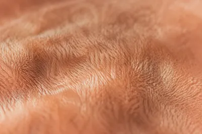 Soft Peach Fuzz Velvet Macro Texture
