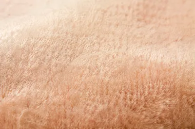 Soft Peach Velvet Texture Background
