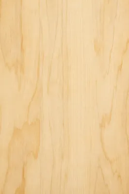 Light Birch Plywood Texture Background