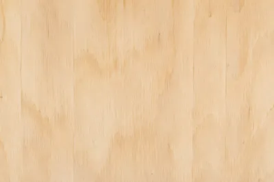 Light Birch Plywood Natural Wood Texture