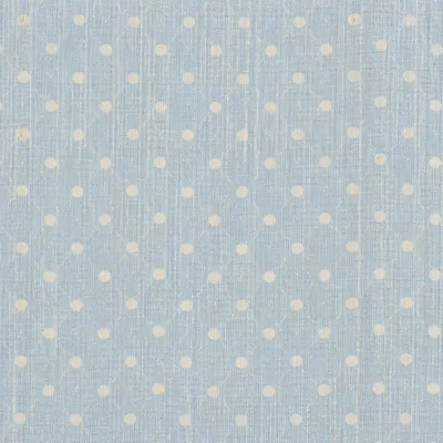 Pastel Blue Polka Dot Fabric Background