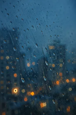 Moody Raindrops on Window at Blue Hour