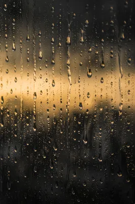 Moody Raindrops on Blurred Window Background