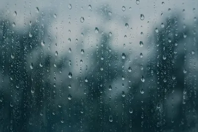 Moody Raindrops on Blurred Window Background