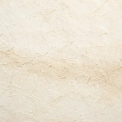 Translucent White Rice Paper Texture