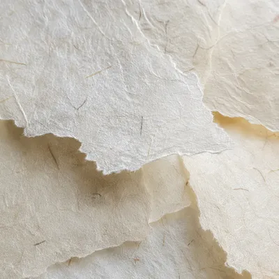 Translucent Natural White Rice Paper Texture