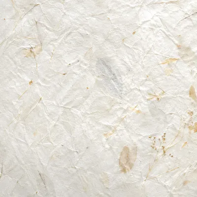 Translucent Natural White Rice Paper Texture