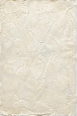Translucent Natural White Rice Paper Texture