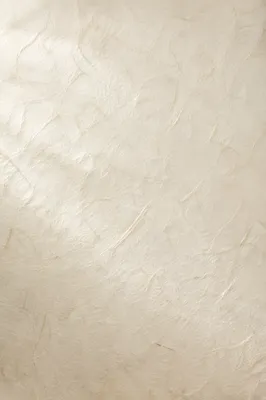 Translucent Rice Paper Texture in Soft White