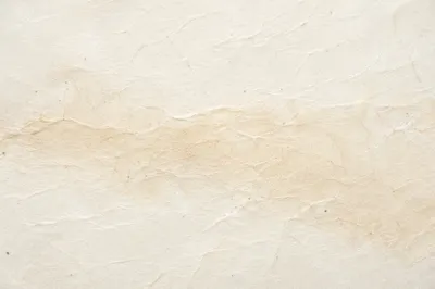Translucent Natural White Rice Paper Texture