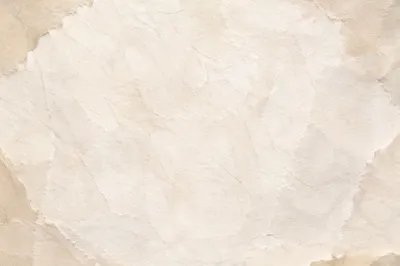 Translucent Natural White Rice Paper Texture