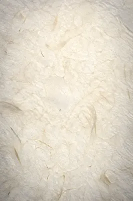 Translucent Natural White Rice Paper Texture