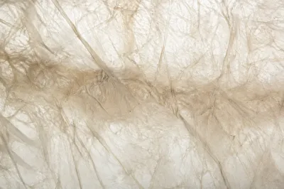 Translucent White Rice Paper Texture