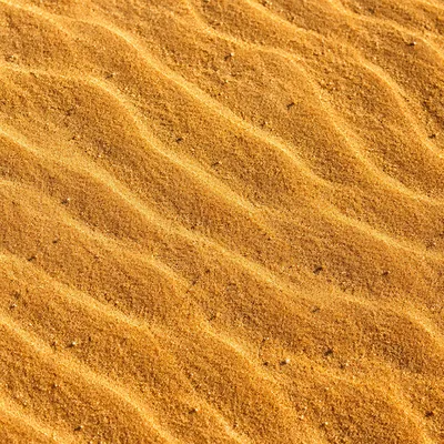 Warm Golden Beach Sand Texture