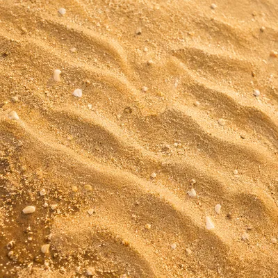 Warm Golden Beach Sand Texture Background