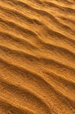 Warm Golden Sand Ripple Texture Background