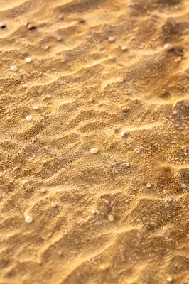 Warm Golden Beach Sand Texture Background
