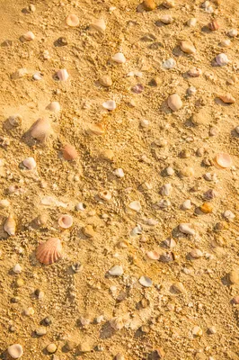Warm Golden Beach Sand Texture Background