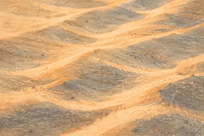 Warm Golden Beach Sand Texture
