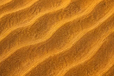 Warm Golden Rippled Beach Sand Texture