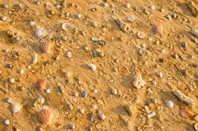 Warm Golden Beach Sand Texture Background