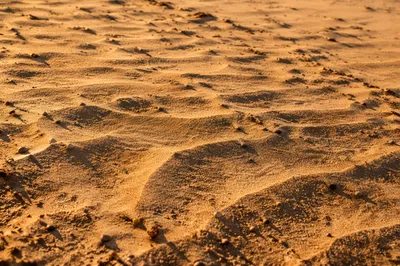 Warm Golden Beach Sand Texture Close Up