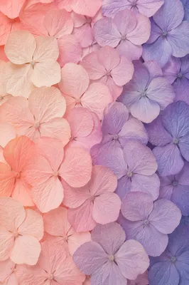 Pastel Petal Gradient Floral Background