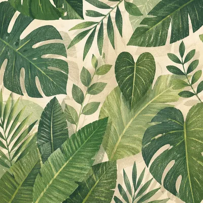 Lush Tropical Monstera Palm Leaf Background