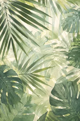 Tropical Monstera Palm Green Background