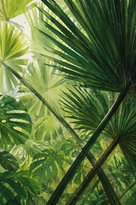 Lush Tropical Monstera Palm Leaf Background