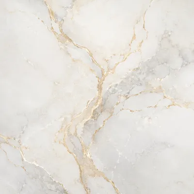 Clean White Marble with Gold Veins