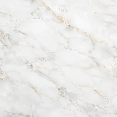 Elegant White Marble with Gold Veins