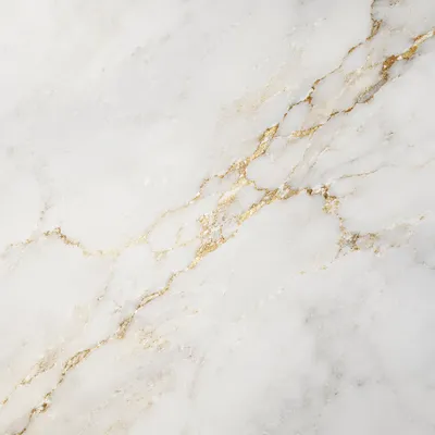 Elegant White Marble with Gold Veins