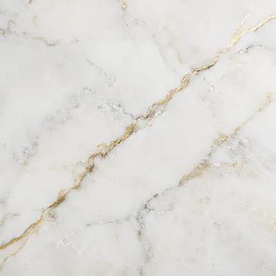 Elegant White Marble with Gold Veins