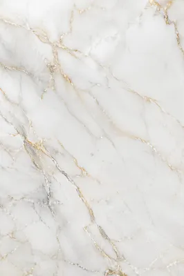 Elegant White Marble with Gold Veins