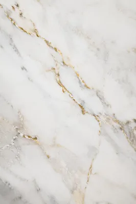 Elegant White Marble with Gold Veins