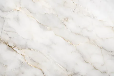 Elegant White Marble with Gold Veins