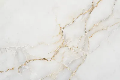 Clean White Marble with Gold Veins