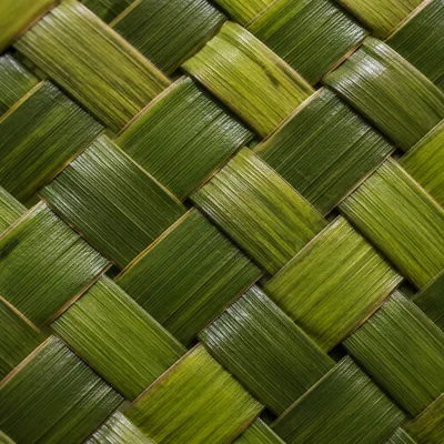 Natural Green Woven Basket Texture