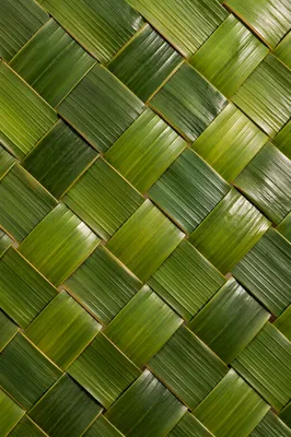 Natural Green Woven Basket Texture