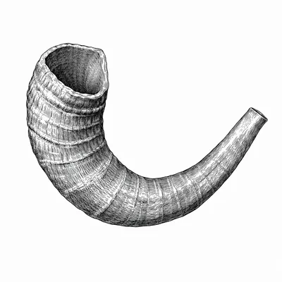 biblical:shofar