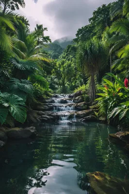 Lush Garden of Eden River Paradise