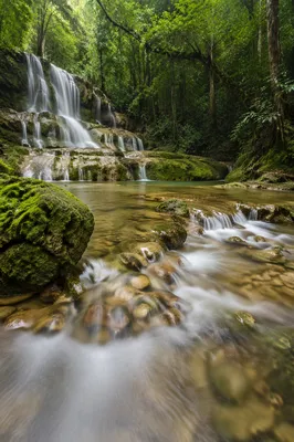 Lush Garden of Eden River Waterfall