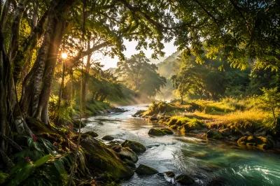 Lush Garden of Eden River at Dawn